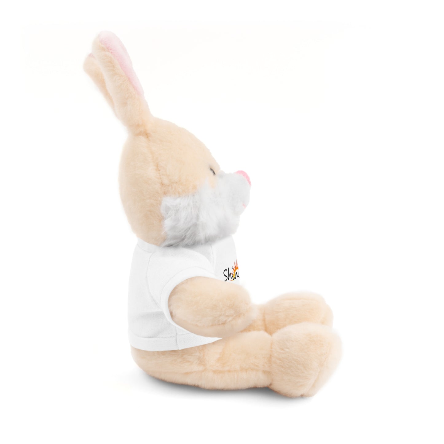 Plushie with 'Shine On' T-Shirt
