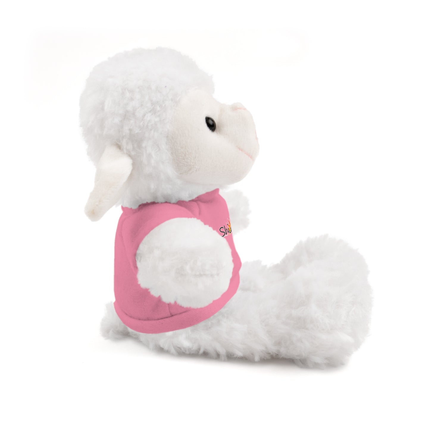 Plushie with 'Shine On' T-Shirt